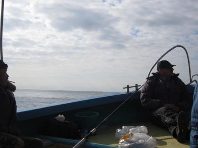 Прикрепленное изображение: IMG_0457.JPG